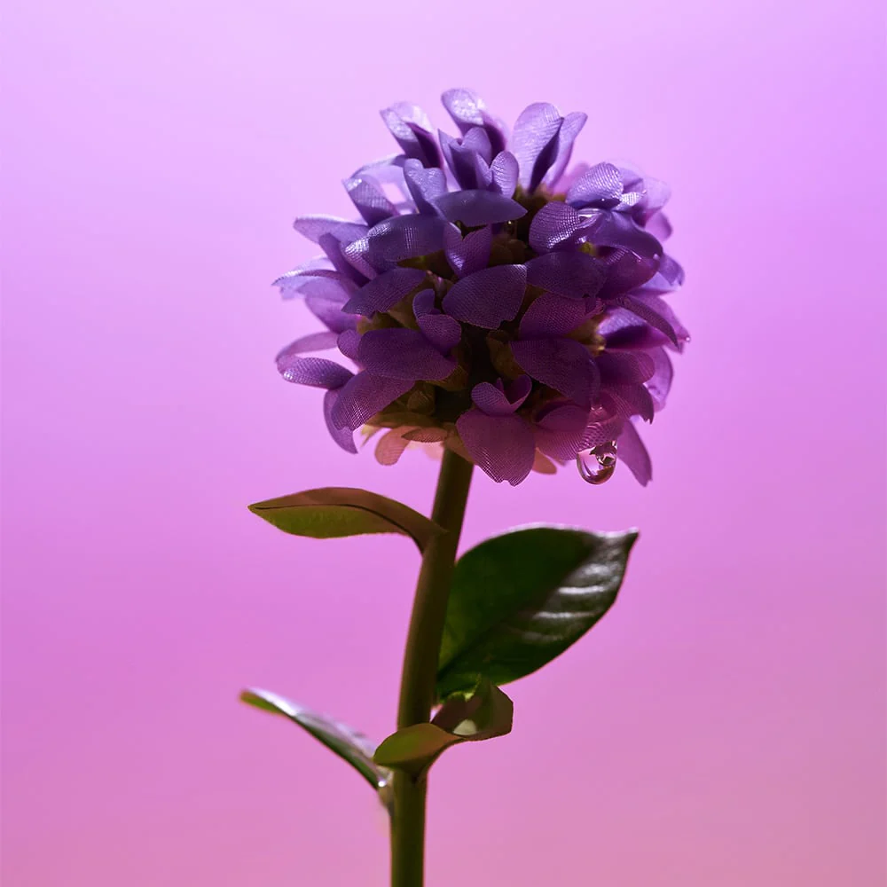 Bakuchiol Plumping Serum - Image 5
